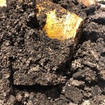 ル スプートニク - 4/9