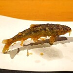 石臼挽き手打 蕎楽亭 - 稚鮎の天ぷら
