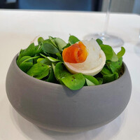 RISPETTO - 