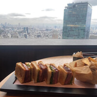 タワーズバー ベロビスト - 