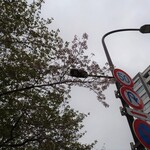 一〇そば - まだ頑張って咲いてるのね～