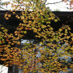 エンボカ 軽井沢 - 