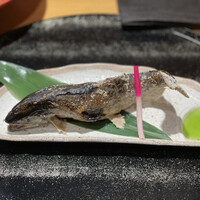 柳家錦 - 