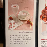 カカオティエゴカン - 