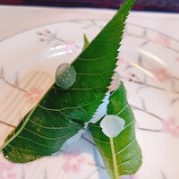 行楽庵 - 鯛の桜の葉寿司