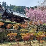 総本舗　白酒屋 - 長谷寺