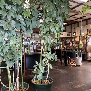 新発田珈琲館_2