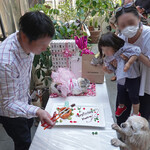 エビスエスクラッシコ - ミーちゃんは見てるだけ！