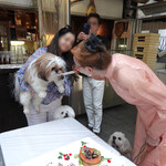 エビスエスクラッシコ - まず、ヨーダから〜♬