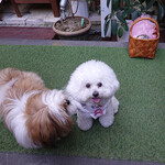 エビスエスクラッシコ - ご招待ありがとう〜♡