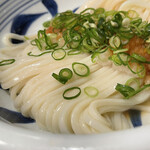 Edobori Kida Sanuki Udon - 