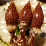 鳥田中 - 蛍烏賊アップ