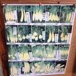 元祖しょうゆうどん 小縣家 - 大根②