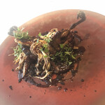 レストラン マノワ - 