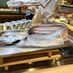 くろぎ - その辺の小学生くらいどでかい太刀魚