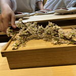 くろぎ - 八寸も桜♡