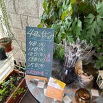 ビストロ セレニテ - 