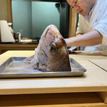 くろぎ - めでた～い！