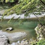 奥多摩リバーサイドカフェ awa - 窓の外は眼下に多摩川の清流が静かにながれています。