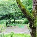 手打そば　もみじ野 - テラス席から池を