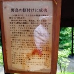 Momiji No - 野鳥餌付けについて