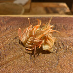 天ぷらあら木 - 