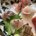 割烹 しらこ - 刺身定食