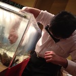 イベントで当たると、オマールエビを「捕ったどー」できます。