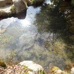 山賊砦 - 池もあります