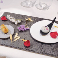 ジョンティ アッシュ - 