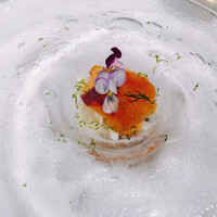 ジョンティ アッシュ - 