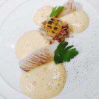 ジョンティ アッシュ - 