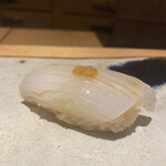 鮨 さいとう - アオリの季節