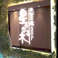 天空の庭 星のなる木 -  天空の庭 星のなる木 -