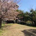 コンテナカフェ 2187 - 隣の公園