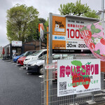 東京いちごカフェ - 