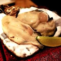 夢酒みずき -  夢酒みずき -