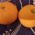 フルーツショップ 柿良 - 「清見オレンジ」なかなかすぐ食べるのはたいへんですミャ