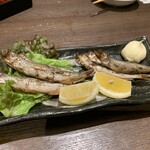 駒八 - 様似の本柳葉魚　雄雌