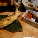 毒沢鉱泉 神乃湯 - 