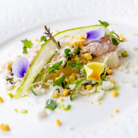 ザ・レギャン・トーキョー - 