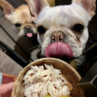 やきとり 嶋家 - 
