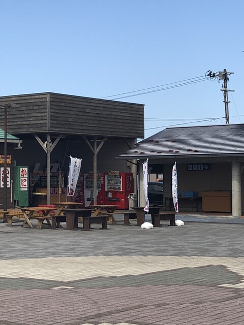 和麺 ささき - 西目（うどん）の写真