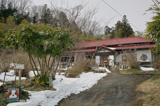 モカモアコーヒー - 大和町その他（カフェ）の写真