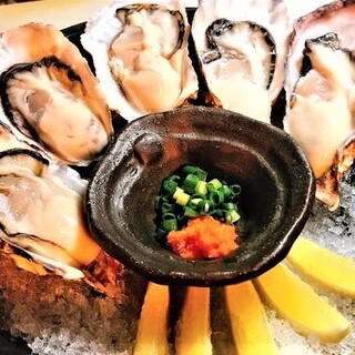 [Raw Oyster from all over Japan] Compare 3 to 6 different flavors of raw Oyster arrived this month