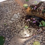 レミニセンス - 