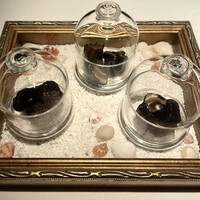 Terres de Truffes, Tokyo - 