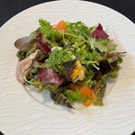 NeoBistro&Bar TOLINO - 前菜