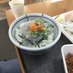 大洗町漁協　かあちゃんの店 - 定食のご飯をシラス丼にチェンジ！
