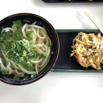 Fujimi Udon - 